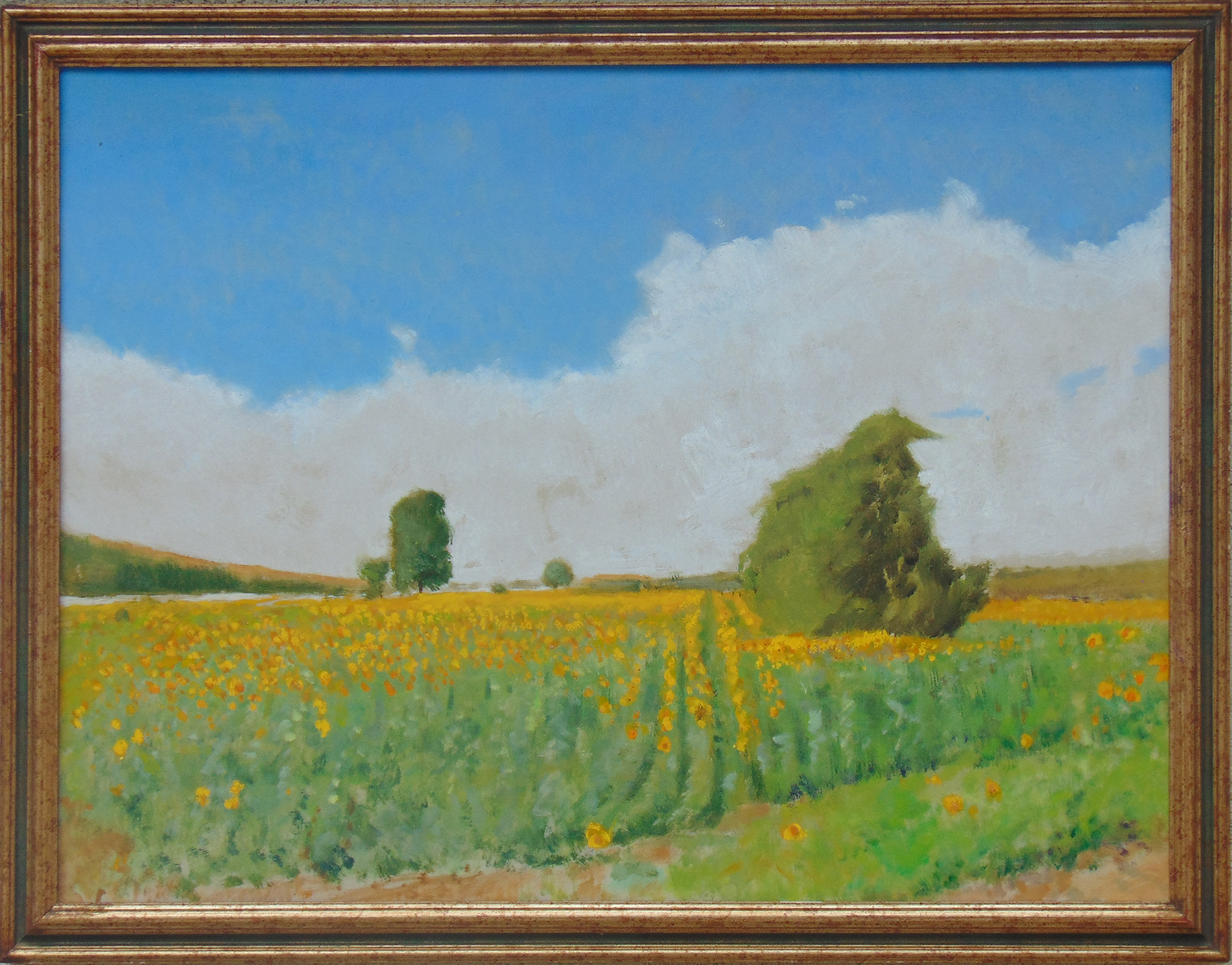Robert Michael Shaw