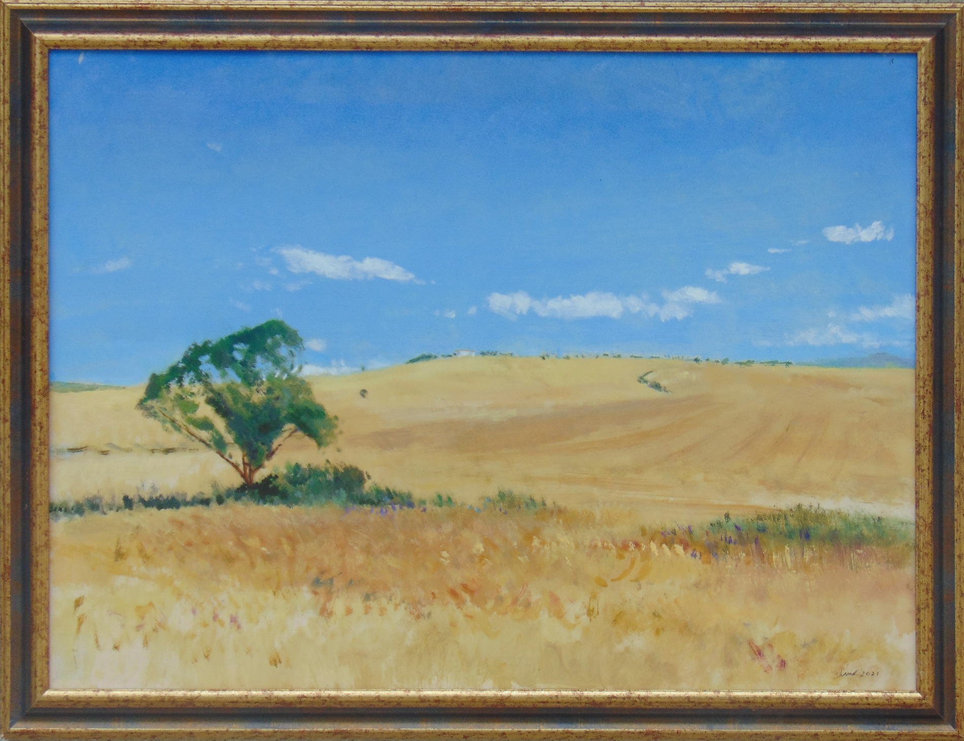 Robert Michael Shaw