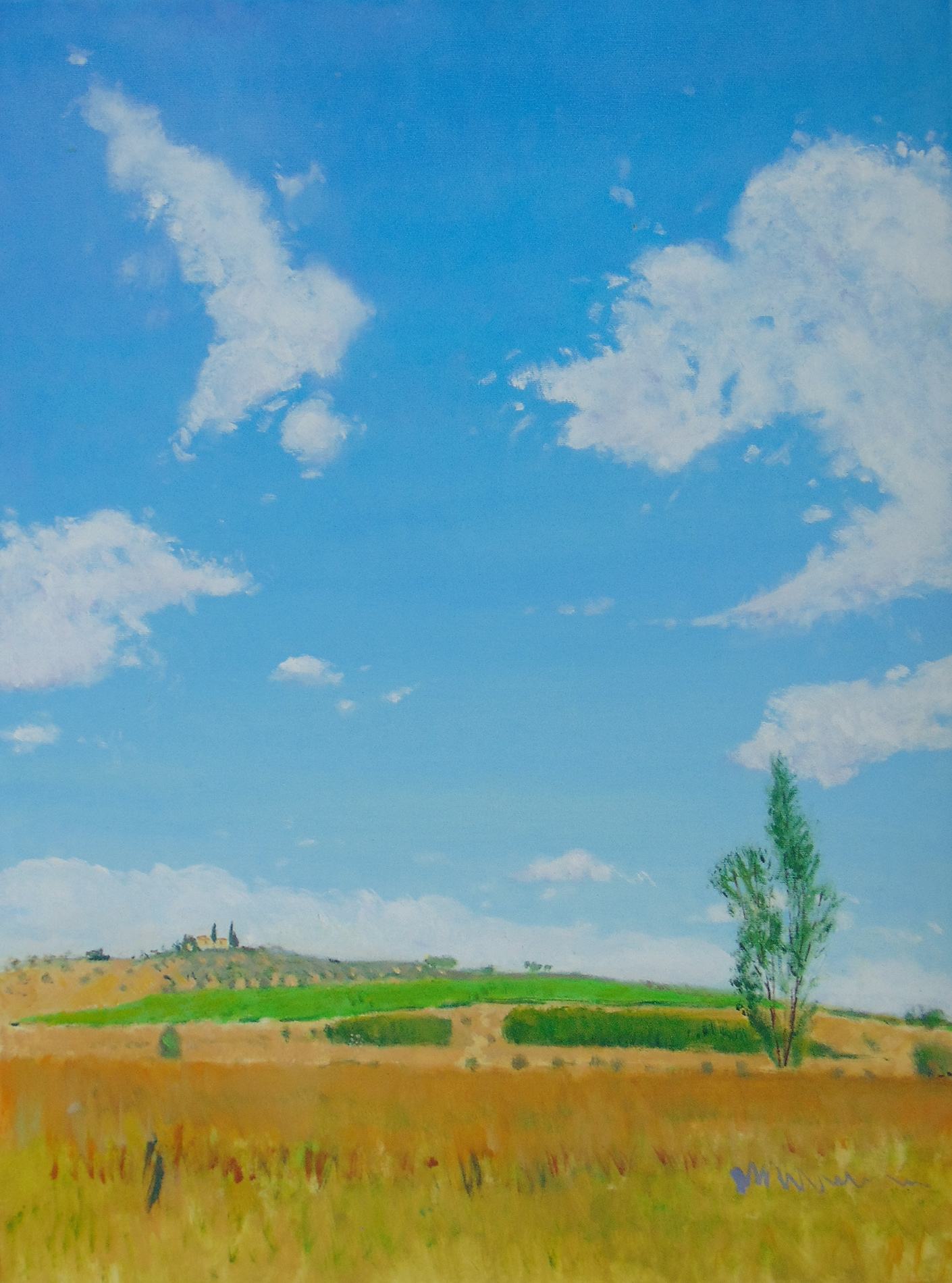Robert Michael Shaw